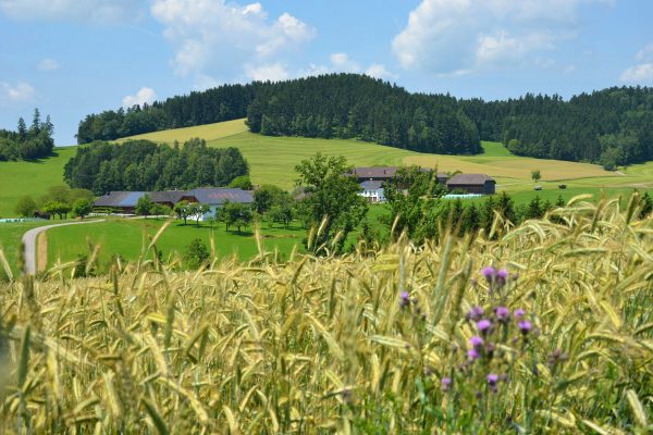 Mühlviertler Hochland – Kernland