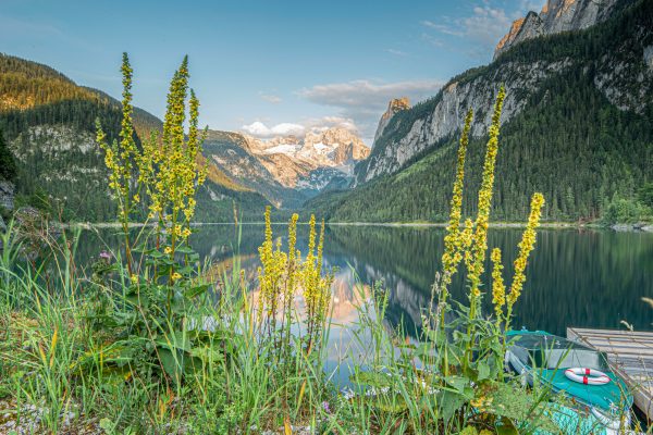 Naturwunder Gosausee