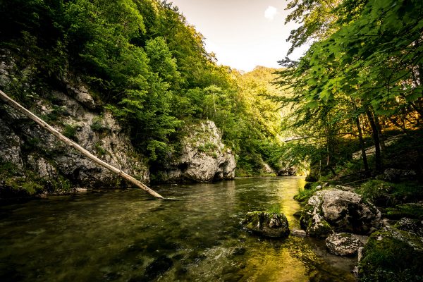 Durchs Höllental zur Raxalpe