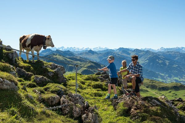 Bergerlebnis Kitzbühler Horn