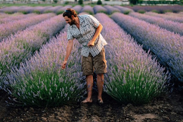 Mönchhof & Neusiedlersee