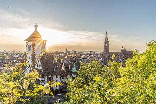 Kirschbaumblüte Schwarzwald